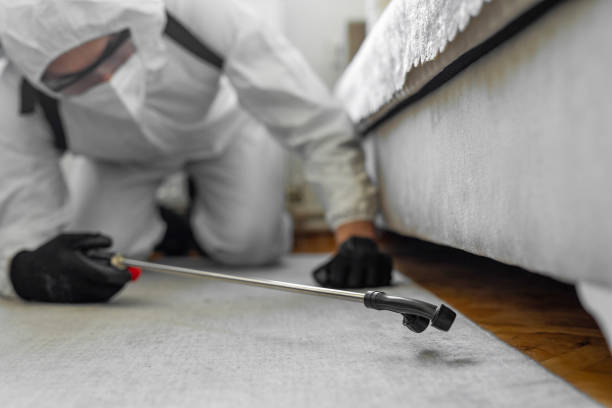 Professional Termite Control technician working in Three Lakes, FL